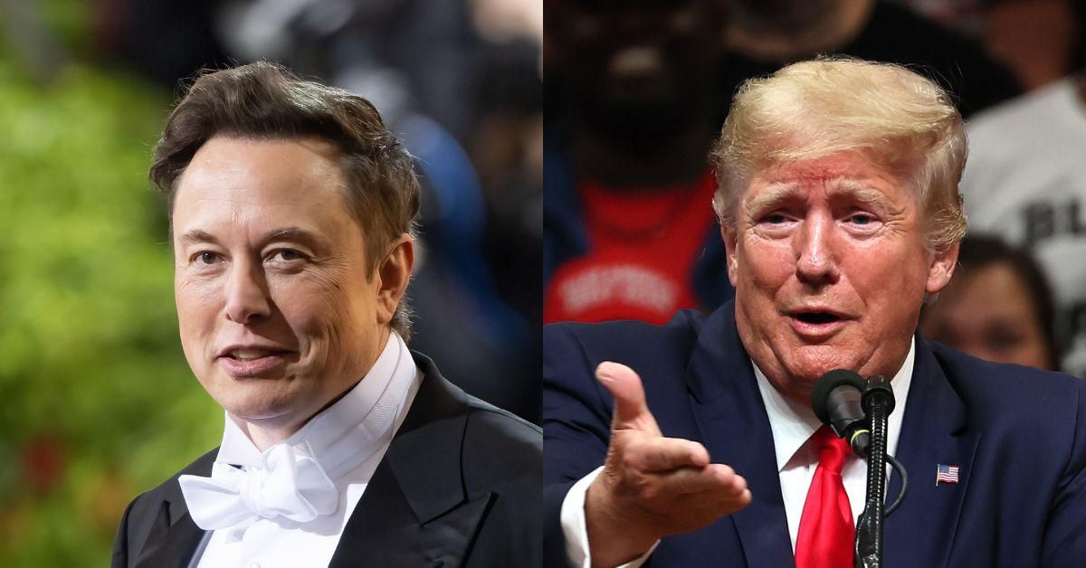 Elon Musk Tweets Blunt Factcheck After Trump Claims Musk 'Voted For' Him