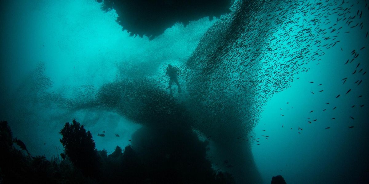 Deep-Sea Divers Share Their Horror Stories