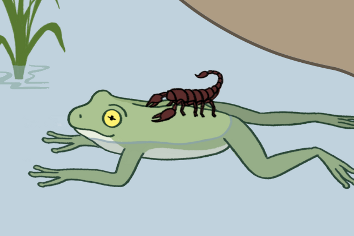 Joe Manchin Just Innocent Frog Who Gave Scorpions Kavanaugh And Gorsuch A Lift