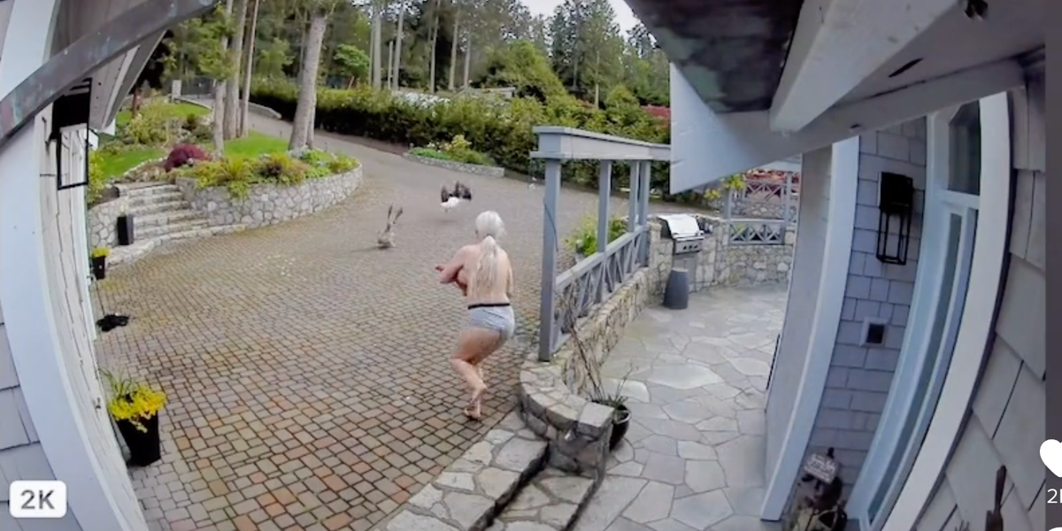 Breastfeeding mom saves goose from eagle on Tiktok Upworthy