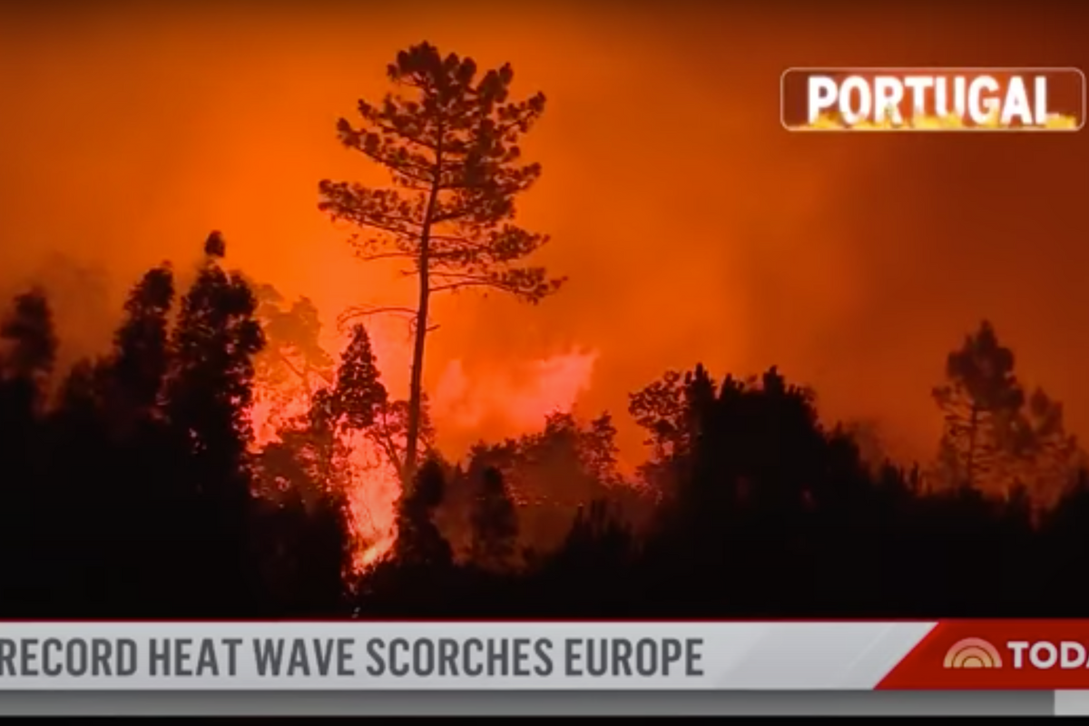 Europe’s On Fire. This Is A Genuine Climate Emergency.