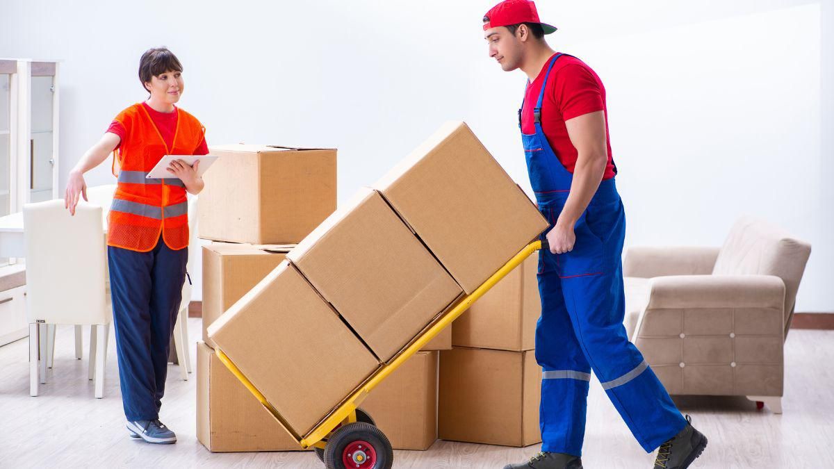 Murky Moving Tales: 7 Reasons Why You Need Professional Movers (no. 6 Will Shock You)