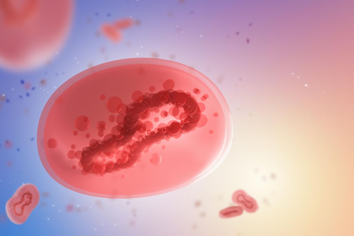Monkeypox now in community spread, Austin health officials say