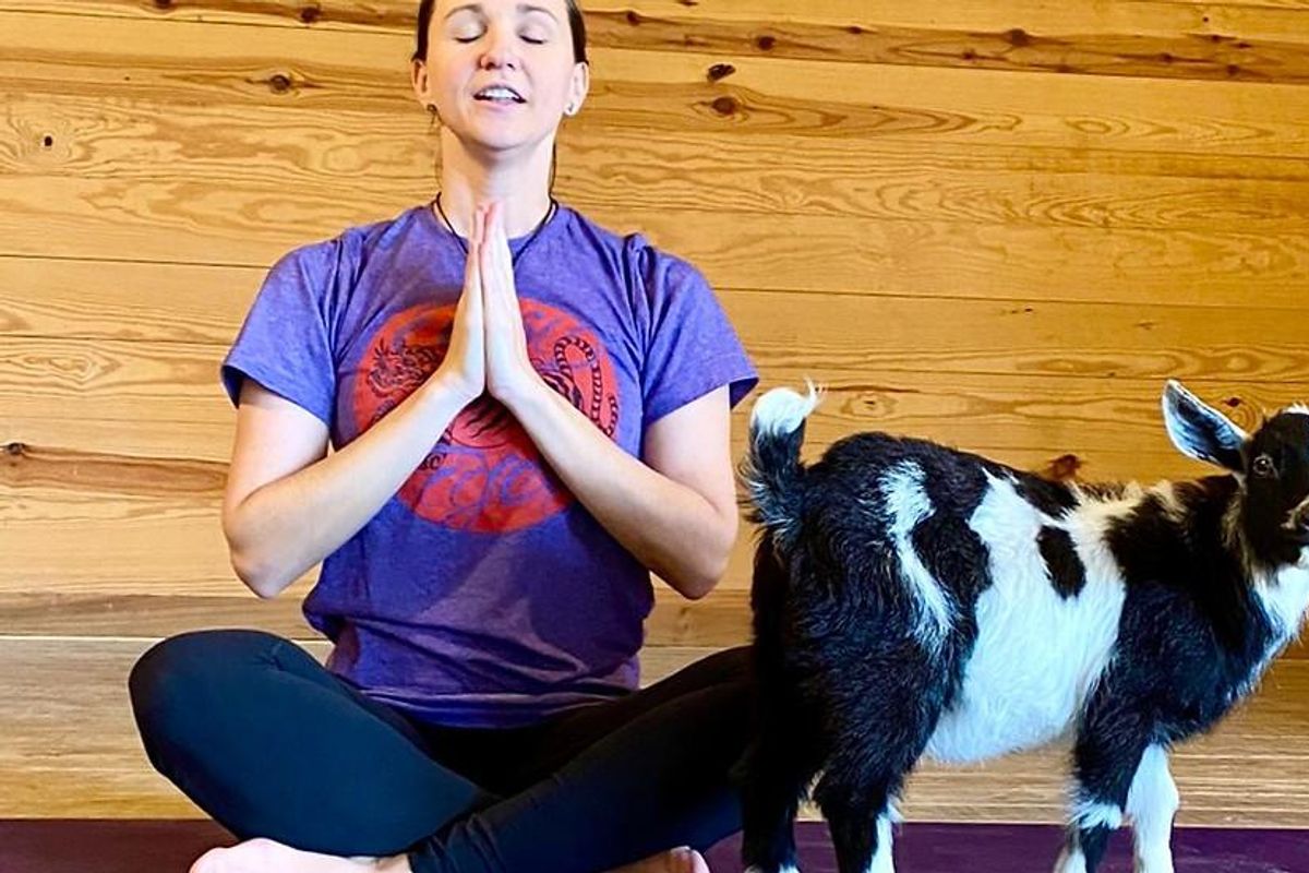 Colombian Fest, goat yoga and comedy: Things to do in Austin this weekend