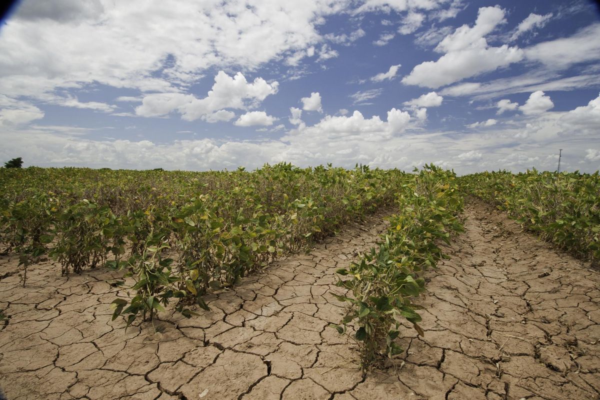 Austin Water addresses effect of drought on agriculture