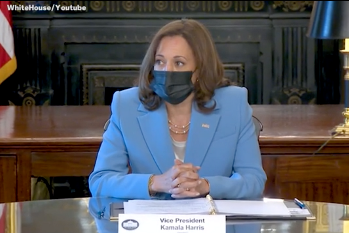 Kamala Harris Provides Self-Description In Disability Rights Meeting, Like A Monster!