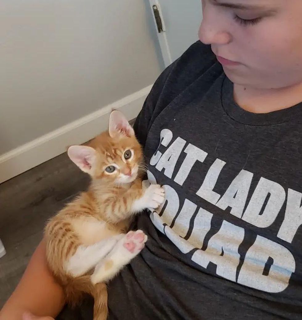 snuggly orange kitten
