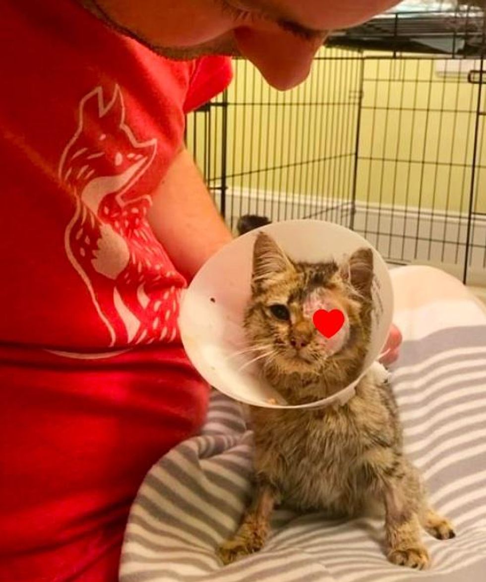 rescued kitten in cone