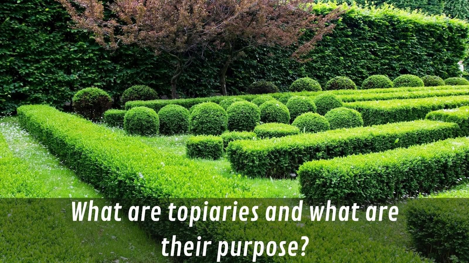 What Are Topiaries And What Are Their Purposes?