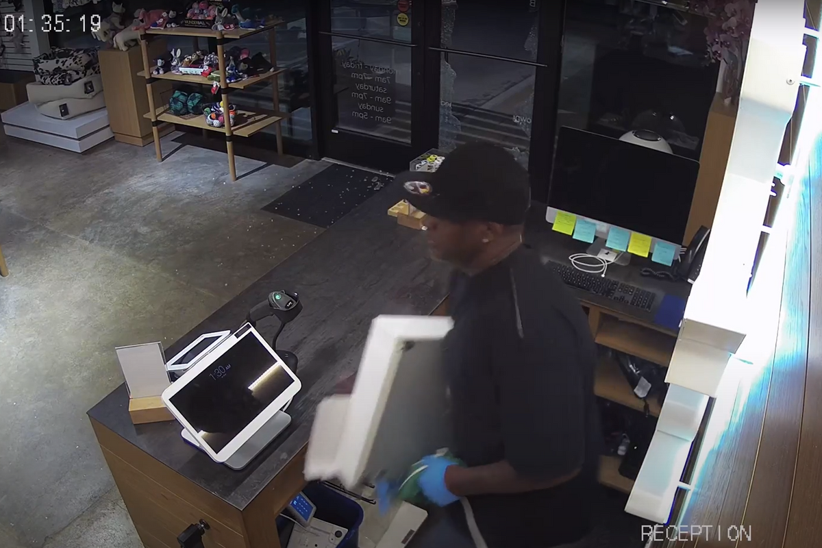 Austin dog stores and salons report string of burglaries