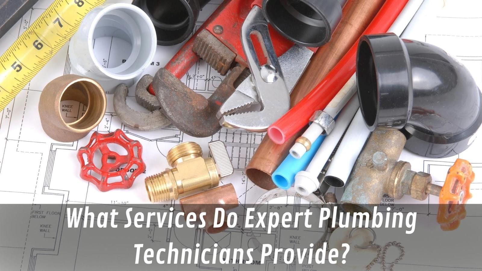 What Services Do Expert Plumbing Technicians Provide?