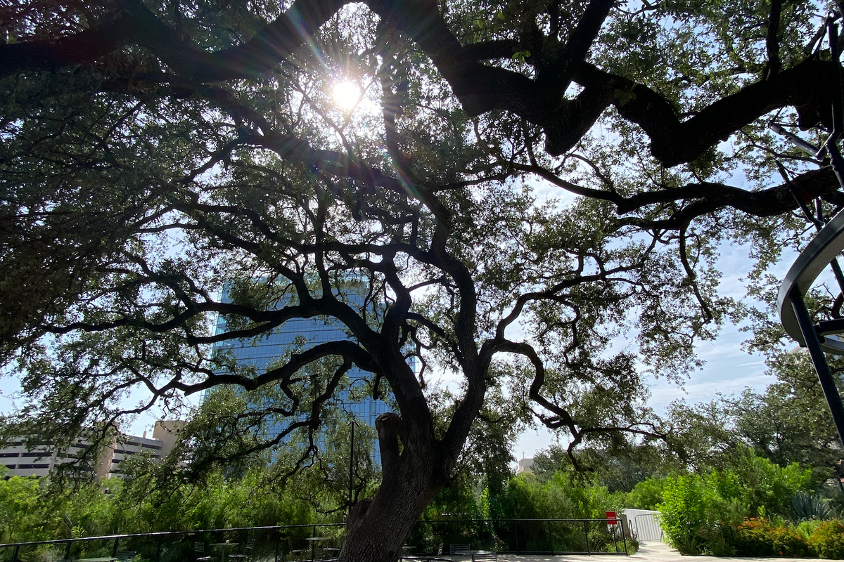 Hottest summer ever: July follows May, June with record heat