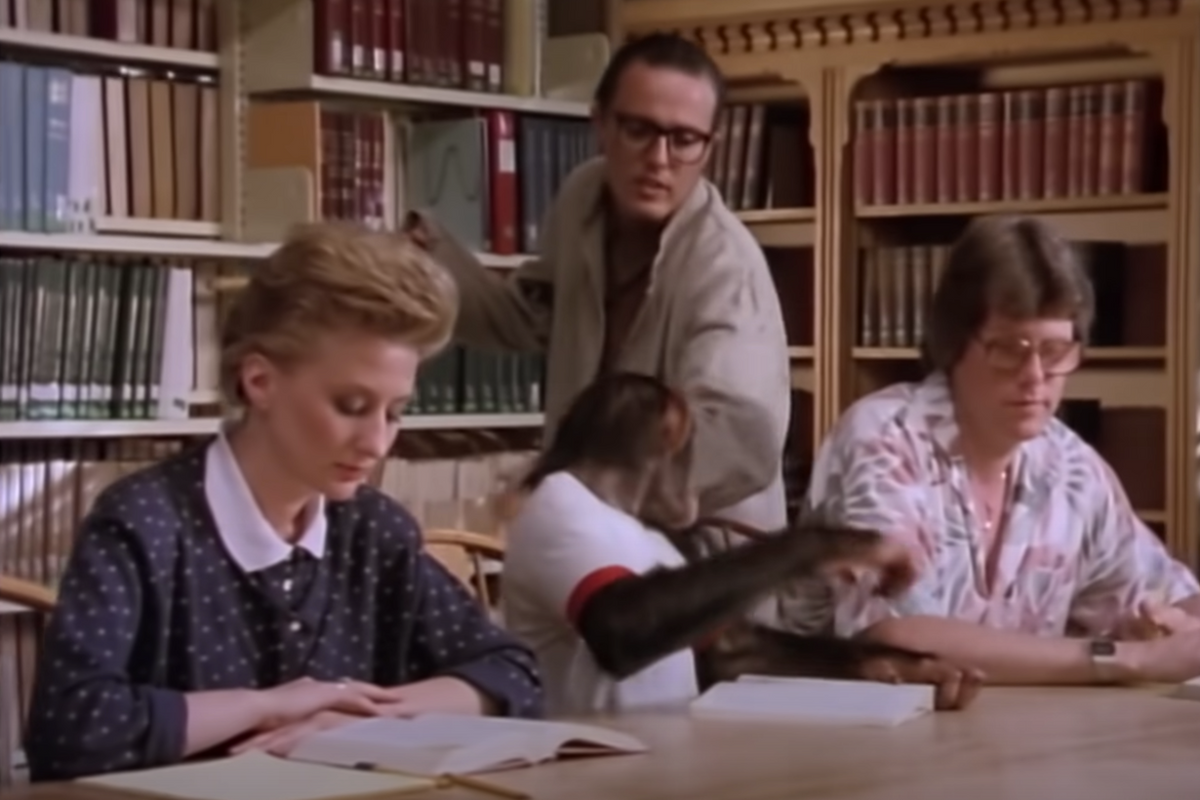 Will You Just Look At All This (Straight) Library Smut?