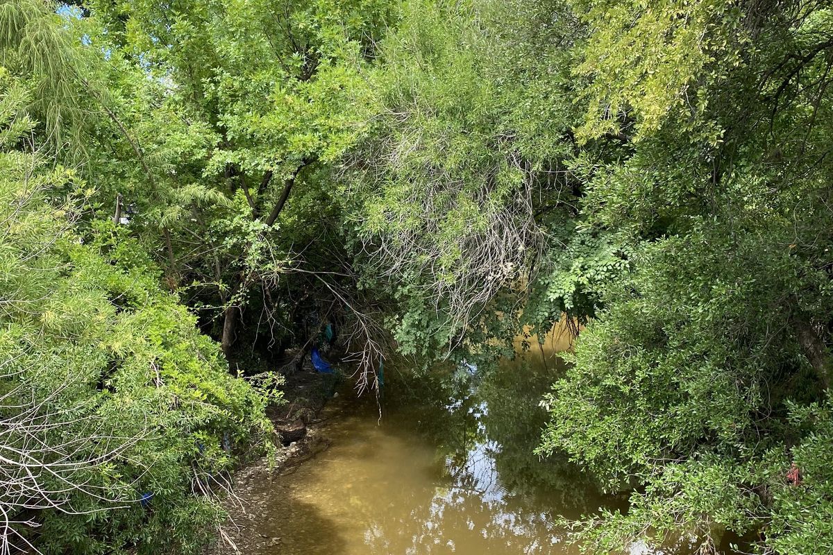 Austinites react to Shoal Creek flood, three-inch Monday downpour