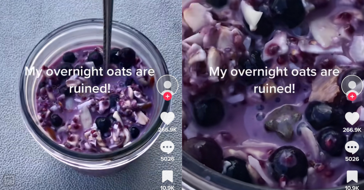 Woman Has Her 'Overnight Oats' Ruined By A Very Unwelcome Guest—And It's Kind Of Adorable