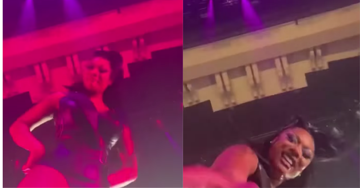 Megan Thee Stallion Had The Best Reaction After A Fan Threw Their Recording Phone On Stage
