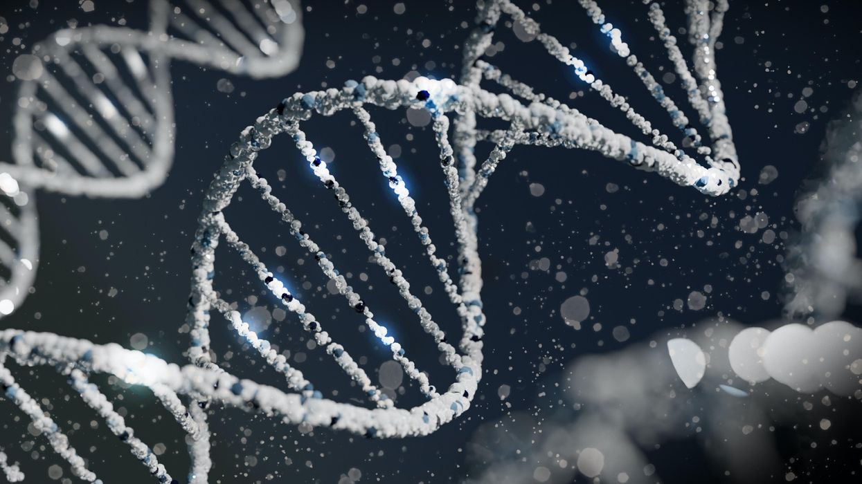 People Who Have Been Rocked By DNA Results Explain What They Discovered