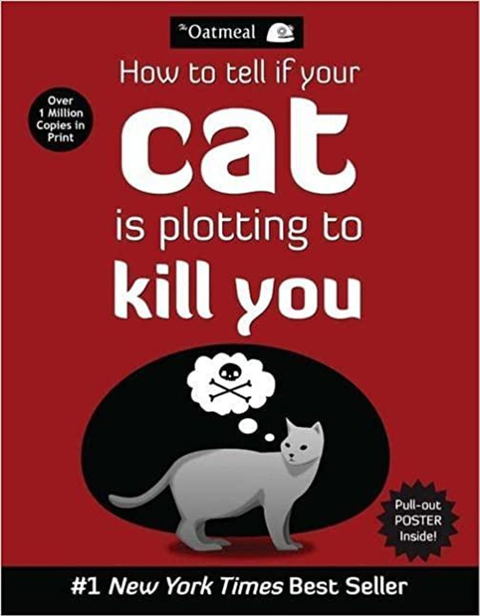 cat book