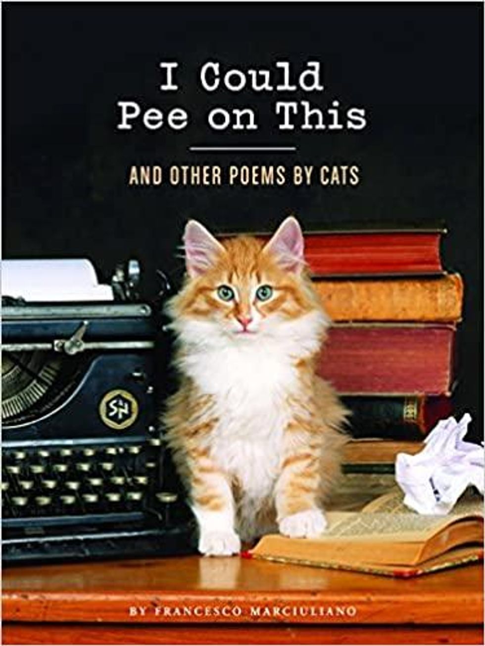 cat poetry