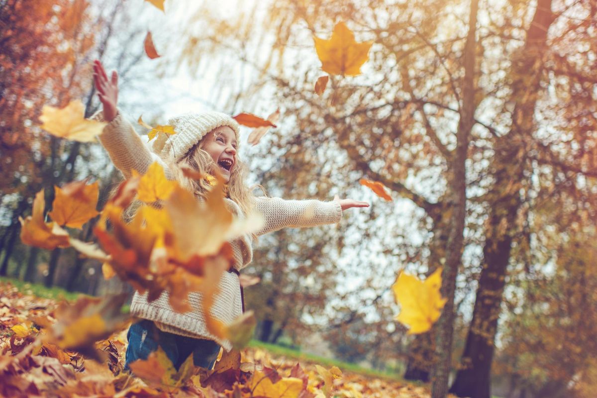Vacanze d'autunno: dove andare per godersi il foliage