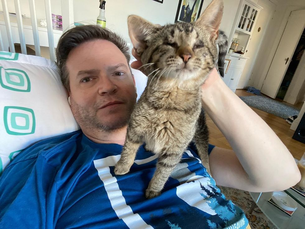 blind kitten foster dad