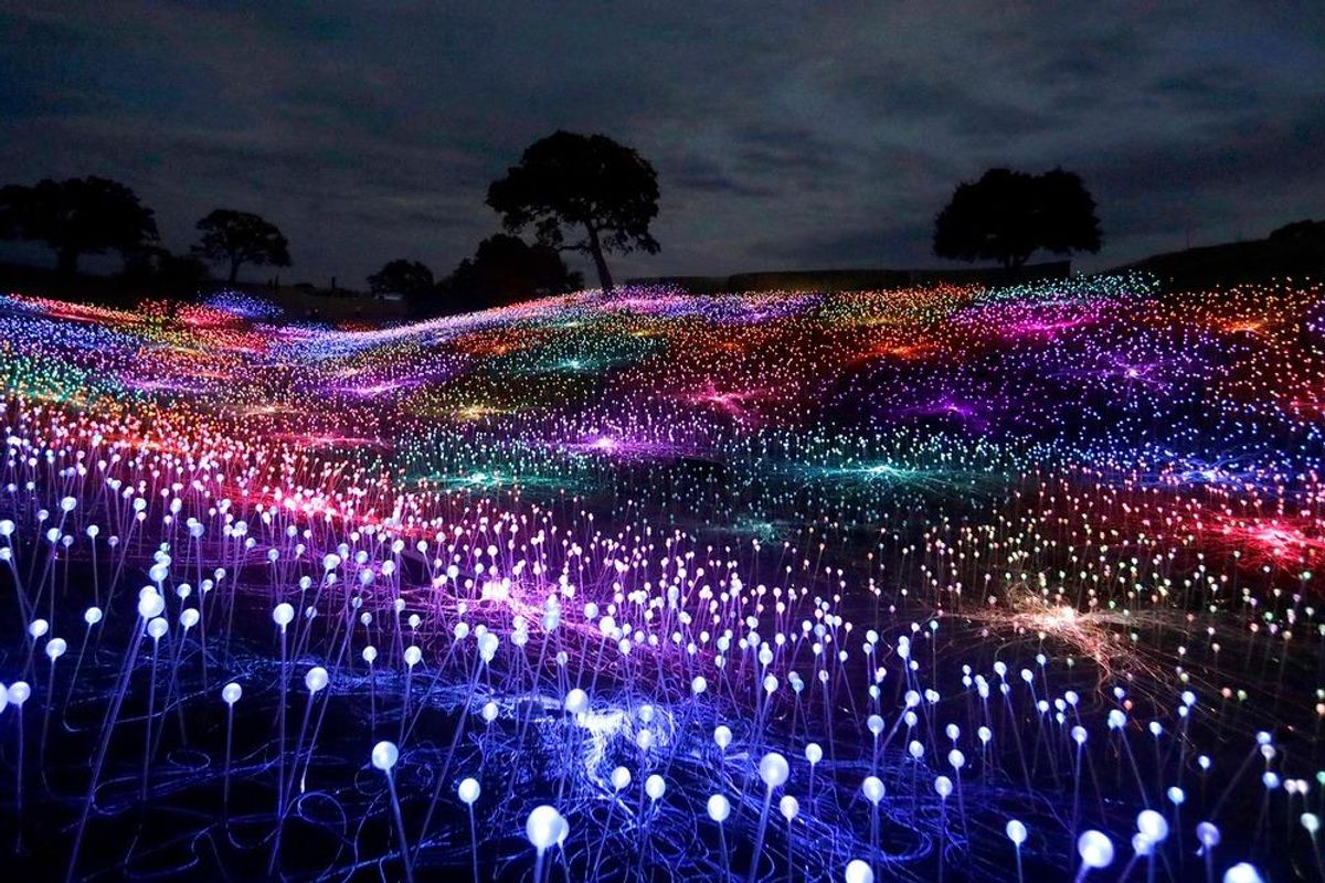 Longhorns, lights and fests all over: Things to do in Austin this weekend