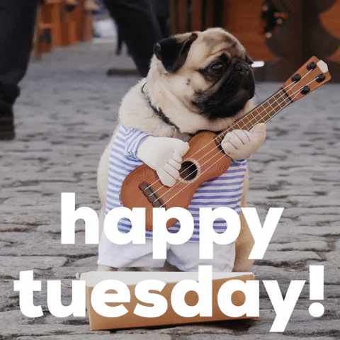 Happy Tuesday, Watch Your White House Briefing