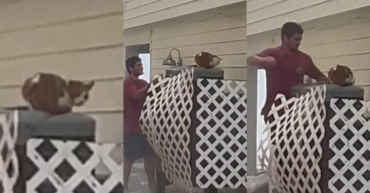 Man Becomes Viral Hero After Saving Cat Stranded On Air Conditioner As Hurricane Ian Rages