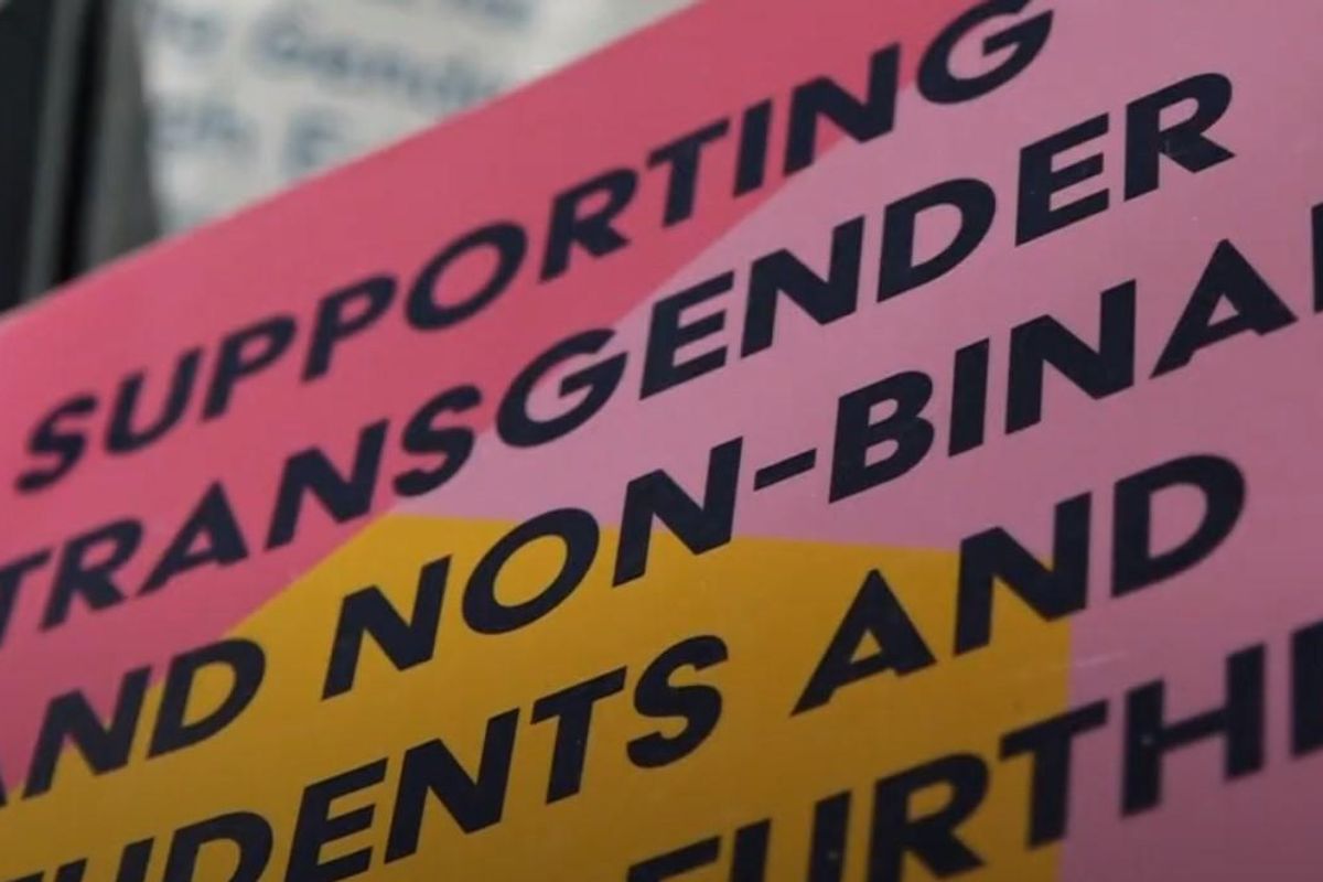 Pro-trans group in Virginia attempts to crowdsource for 'outed and in-crisis' kids, help them rehome with 'Queer friendly adult': Report