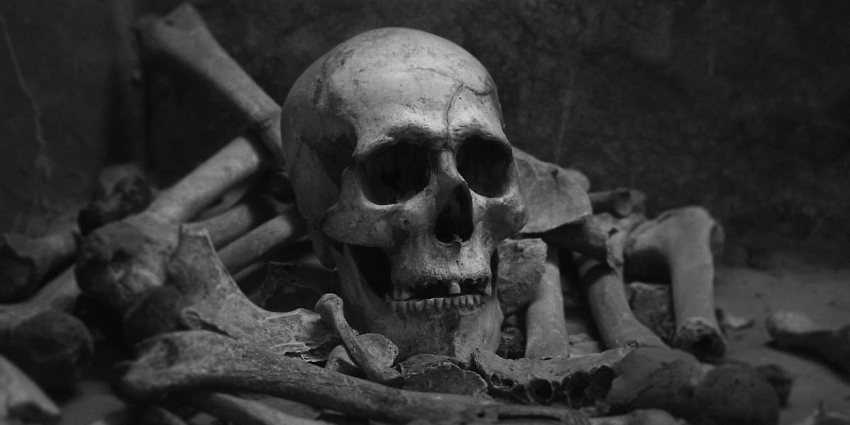People Who Have Discovered Human Remains Share Their Experiences
