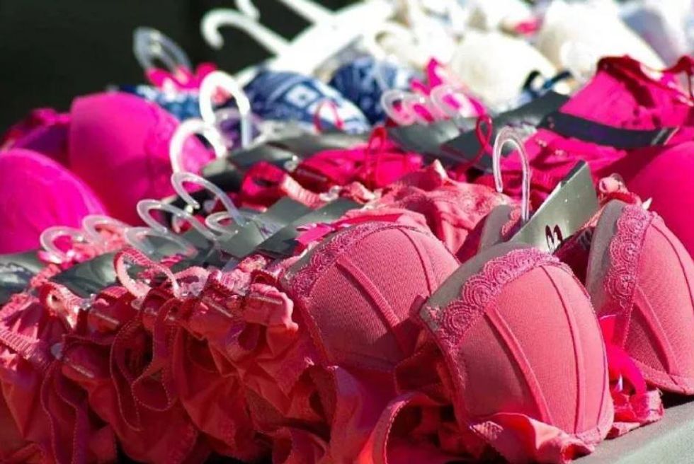 The Ultimate Resource for Buying, Wearing, and Caring About Bras