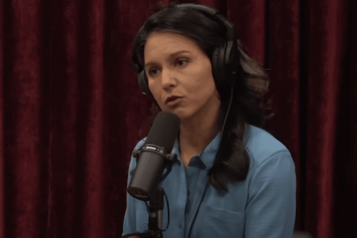 Tulsi Gabbard Pretty Sure Biden Means Well, Just Like Hitler Did