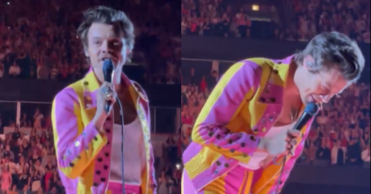 Someone Threw a Bottle at Harry Styles During His Show—And It Hit Him Right in the Junk