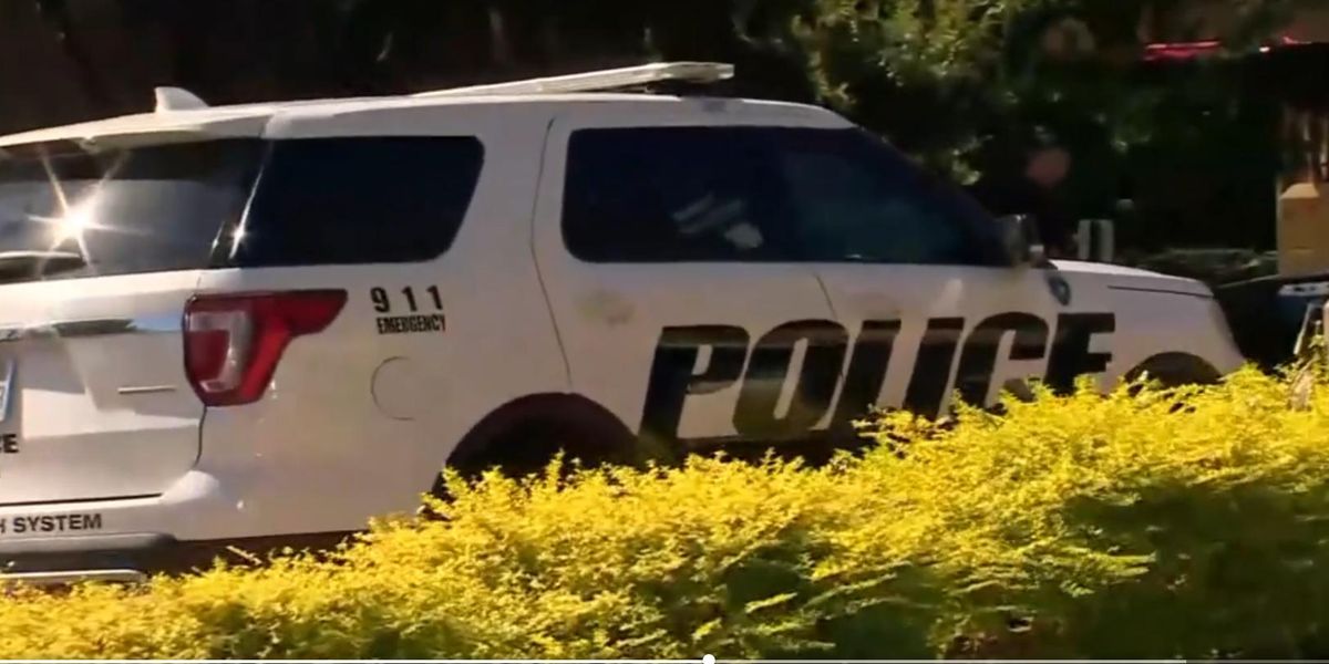 Two Killed in Dallas Hospital by Suspect Let Out of Prison Early for Aggravated Robbery Convictions 1 image