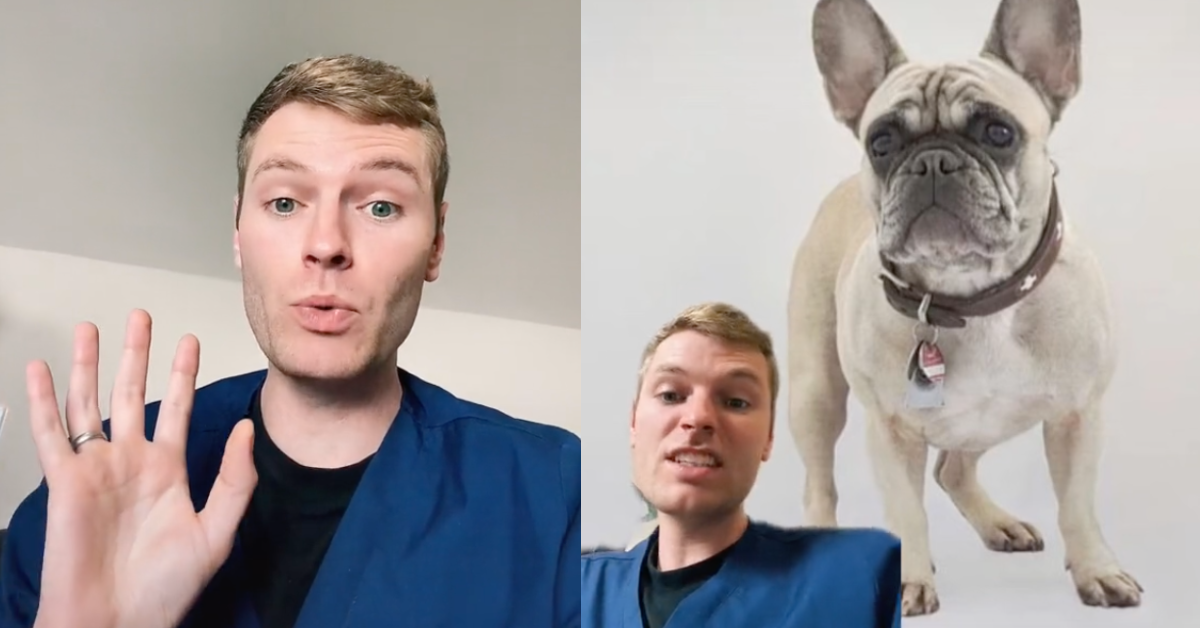 Veterinarian Reveals The Five Dog Breeds He Would Never Own In Eye-Opening Viral TikTok