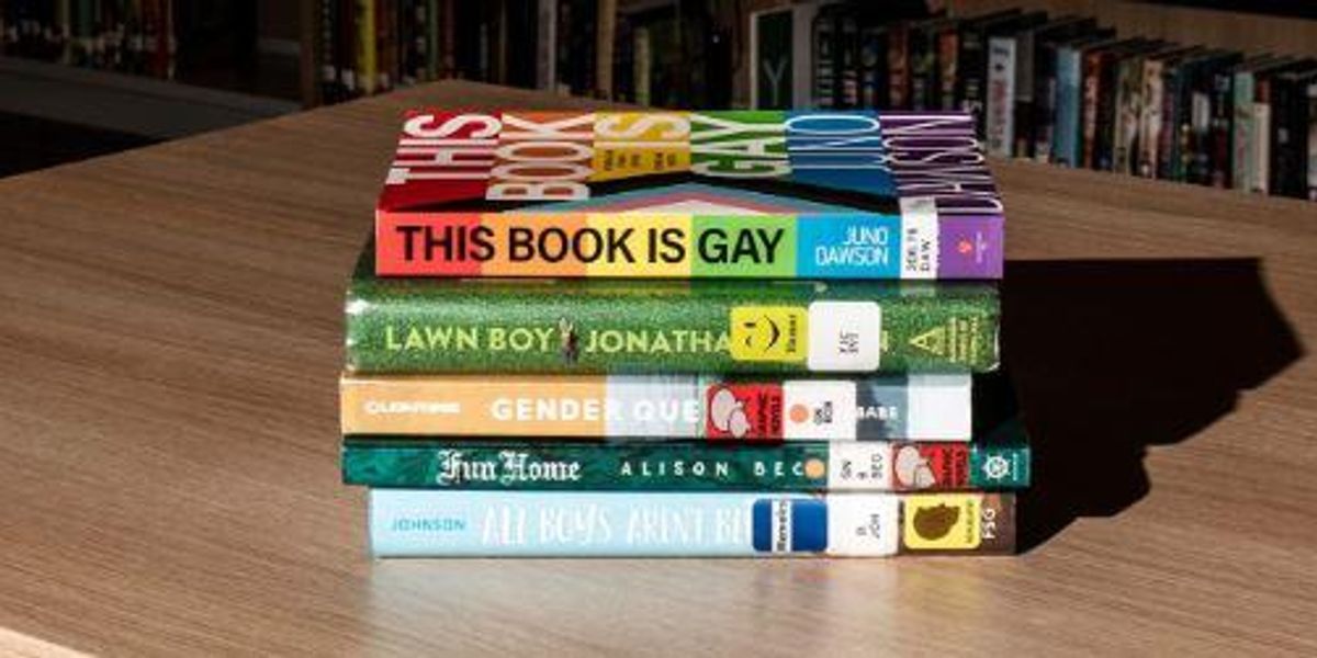Activists help stop South Carolina LGBTQ book ban - Vimarsana News