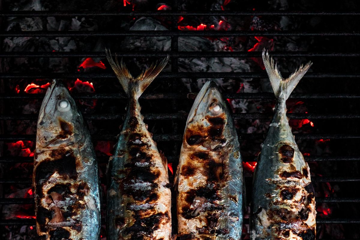 grilling, fish, Liberia, American experience