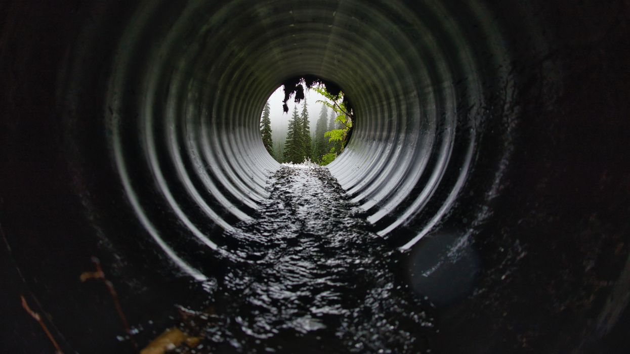 Sewer Workers Describe The Weirdest Thing They've Ever Seen Down There
