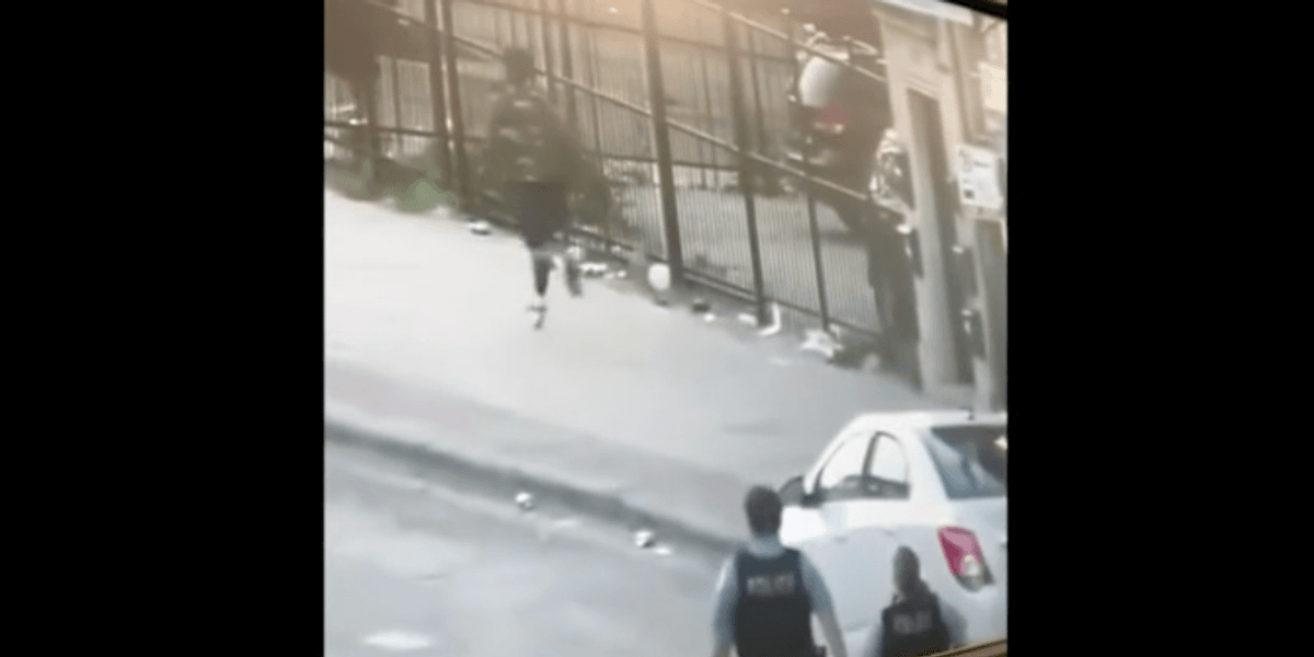 CROWDER:  Police car vandal demonstrates what happens when you do too many drugs - Vimarsana News