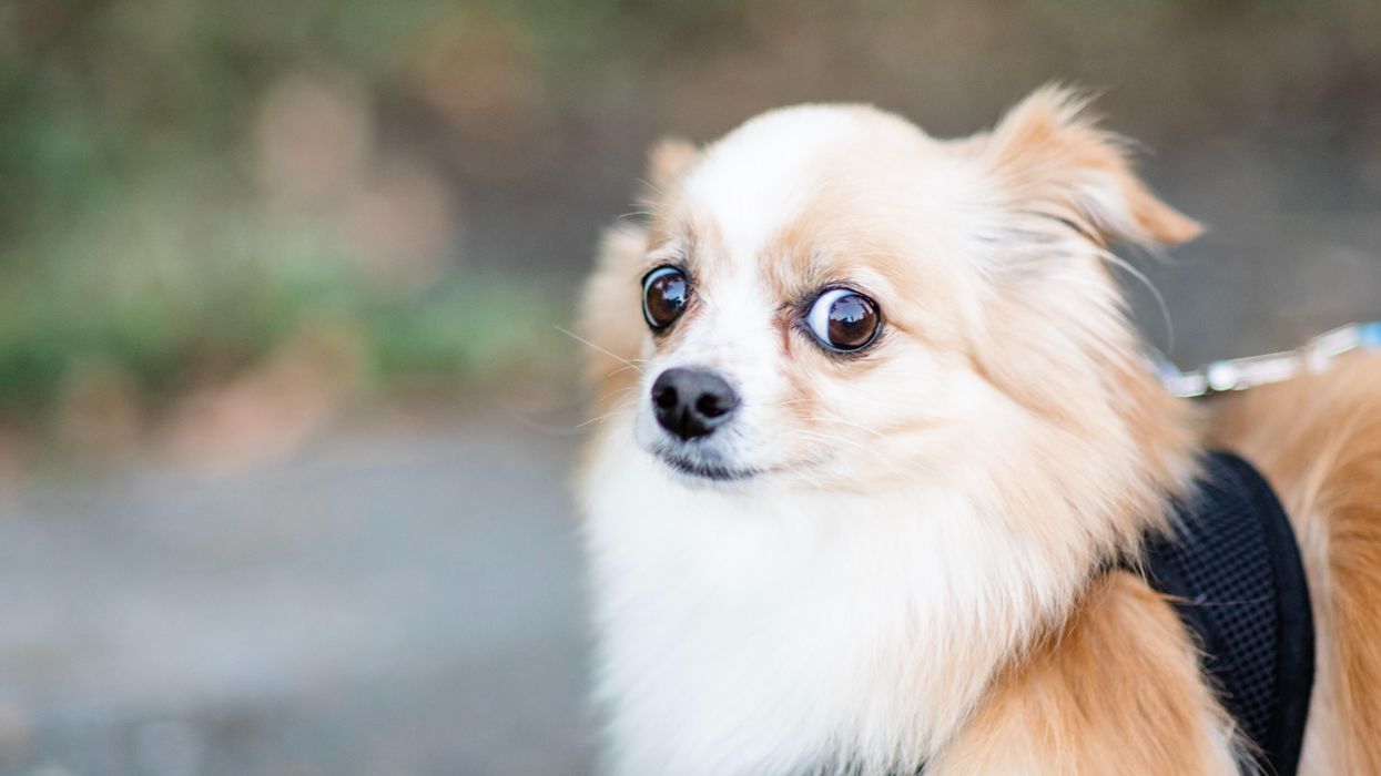 People Break Down The Most Terrifying Thing They've Ever Experienced While Home Alone