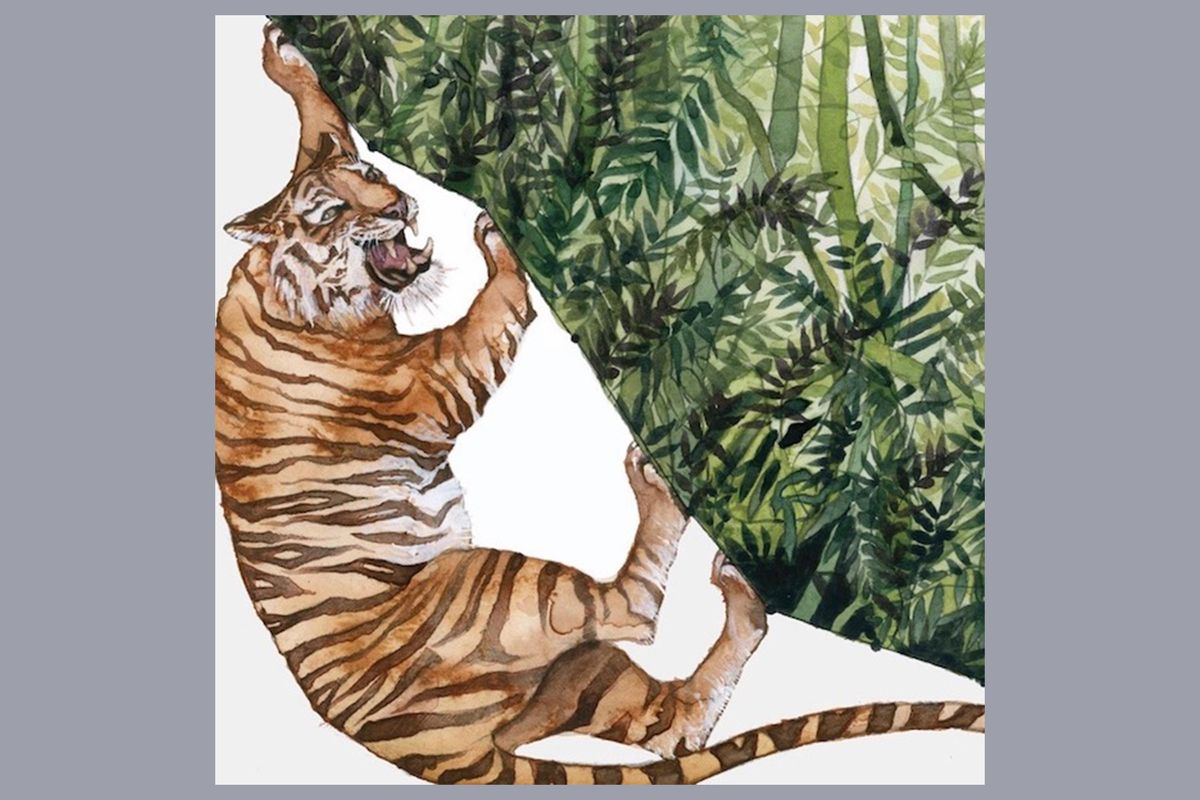 tiger, habitat, nature, environment