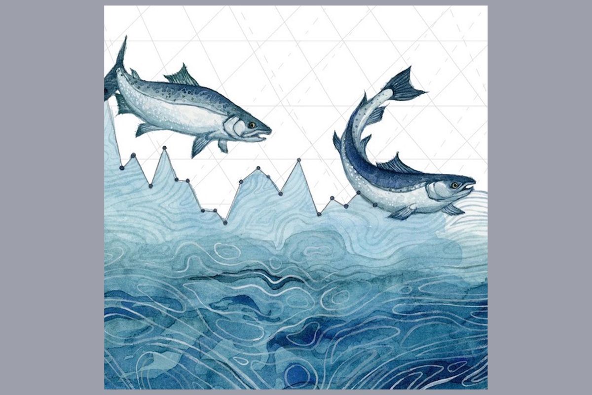 salmon, ocean, rivers, art, climate