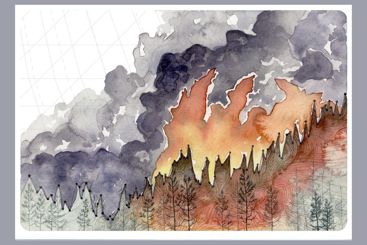 forest fire, temperature change, global, studies