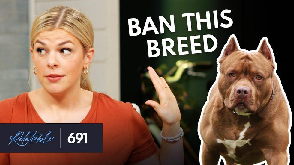 BAN THE BREED? Allie Beth Stuckey says PIT BULLS are too dangerous to be pets