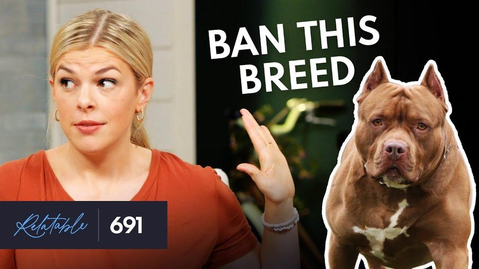 BAN THE BREED? Allie Beth Stuckey says PIT BULLS are too dangerous to be pets BAN THE BREED? Allie Beth Stuckey says PIT BULLS are too dangerous to be pets