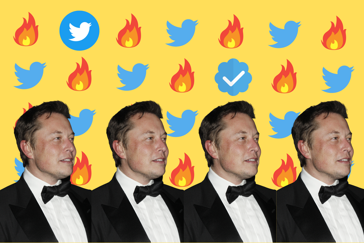 The Timeline Of Elon Musk's Twitter Takeover Downfall