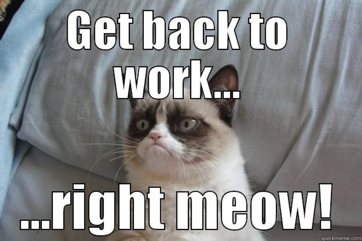 10 Things We've All Experienced During Finals Week Explained Through Cat Memes