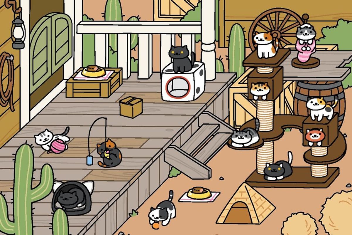 Where Did All These Cats Come From?