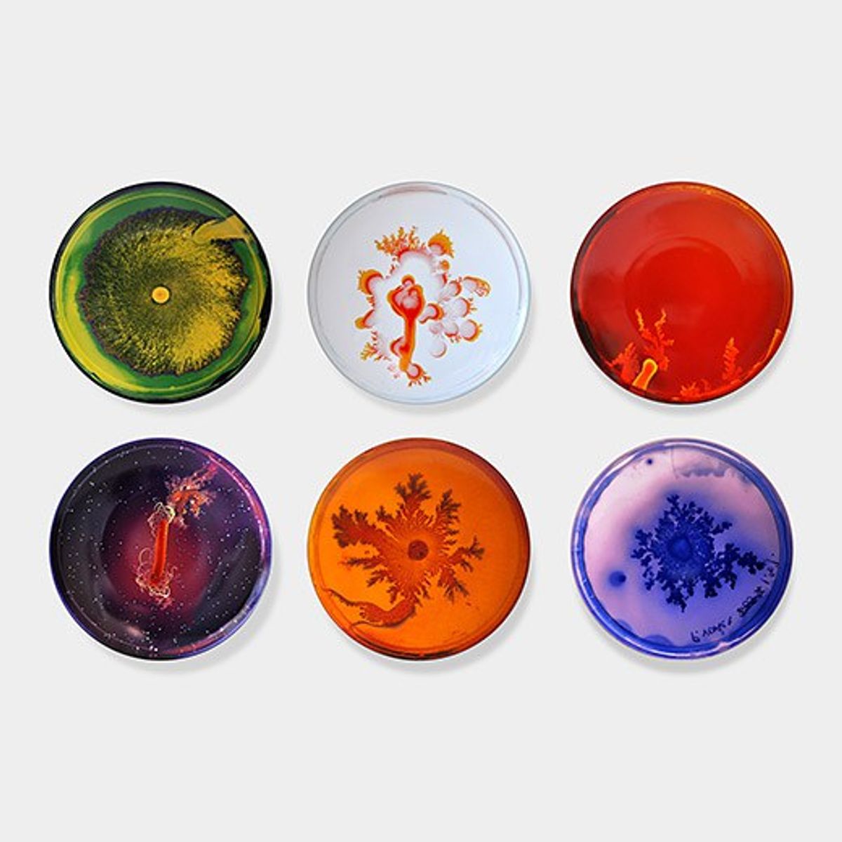 9 Artists Using Science As Inspiration