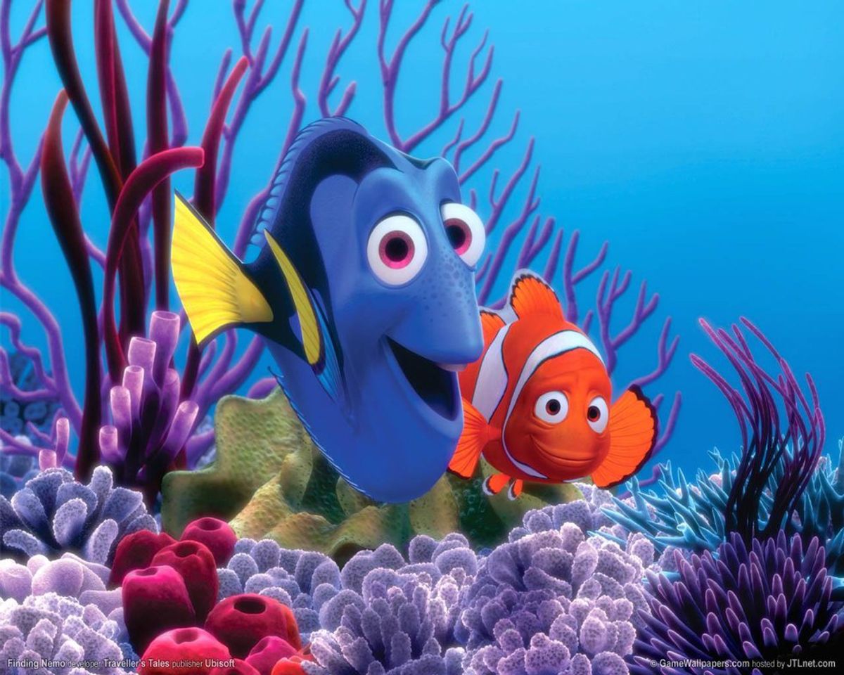 10-finding-nemo-gifs-that-perfectly-describe-your-college-experience